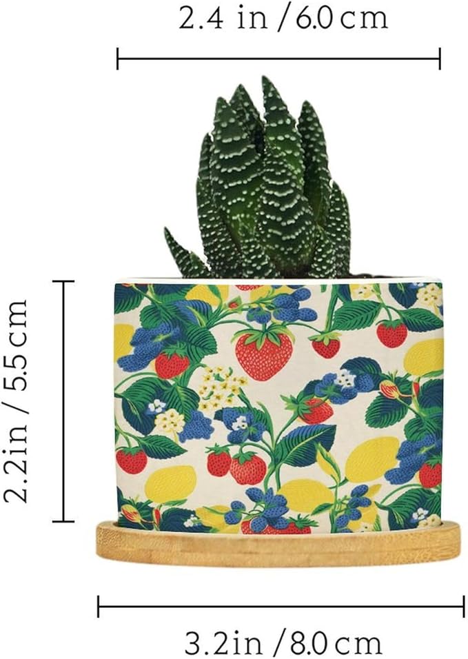 Summer Cherry Lemon Citrus Garden Planter Ceramic Strawberry Fruit Season Round Flower Pots with Drainage Holes and Bamboo Tray Pot for Outdoor Garden Home Plant