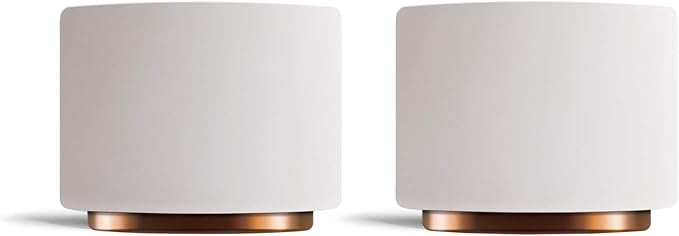 Fellow Monty Milk Art Espresso Cups - Small Double Wall Ceramic Demitasse, Matte White with Copper Base, 3 oz Cup (Set of 2)