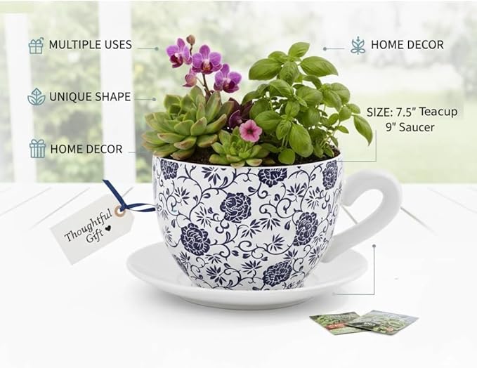7.5" Ceramic Teacup Planter Pot with Saucer | Ideal for Succulents, Orchids, Herbs & Flowers | Indoor Use| Gift for Valentine's Day, Gift Basket, Sympathy & More – White Blue Floral
