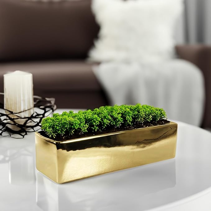 WGVI Long Rectangle Ceramic Planter Vase in Gold 12" x 4" x 4"H, Block Rectangular Terrarium Box Pot, Flower Arrangement, Table top Centerpiece, Home Decor Organization Storage Container, 6 Pcs.