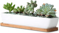 11inch Long Rectangle White Ceramic Succulent Planter Pots/Mini Flower Plant Containers with Bamboo Saucers. Product Size:11x2.23x1.69inch,not Include The Plant. (Long Rectangle)