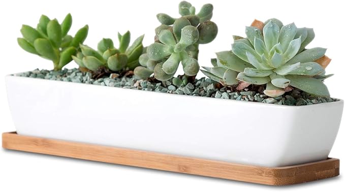 11inch Long Rectangle White Ceramic Succulent Planter Pots/Mini Flower Plant Containers with Bamboo Saucers. Product Size:11x2.23x1.69inch,not Include The Plant. (Long Rectangle)