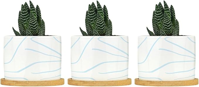 African Zebra Stripe Print Planters Ceramic Boho Geometric Light Blue and White Round Plant Pots with Drainage Holes and Bamboo Tray Pot for Home Office Decoration