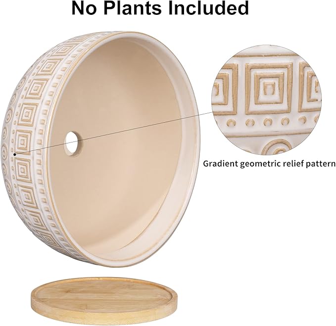 G EPGardening 8 Inch Ceramic Succulent Planter Pots for Indoor Plants Round Shallow Bonsai Planter Pot with Drainage and Bamboo Saucer White