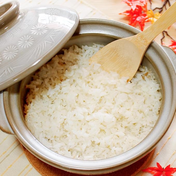 TIKUSAN Donabe Japanese Hot Pot Banko Ware Made in Japan (9 go(108 fl oz.))