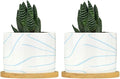 African Zebra Stripe Print Ceramic Planters Boho Geometric Light Blue and White Snake Plant Live Indoor with Pot with Drainage Holes and Saucers Pot for Home Desktop Office Windowsill