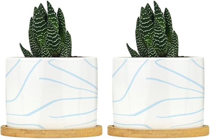 African Zebra Stripe Print Ceramic Planters Boho Geometric Light Blue and White Snake Plant Live Indoor with Pot with Drainage Holes and Saucers Pot for Home Desktop Office Windowsill