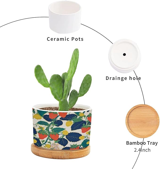 Summer Cherry Lemon Citrus Garden Planter Ceramic Strawberry Fruit Season Round Plant Pots with Drainage Holes and Bamboo Tray Pot for Indoor Outdoor Garden