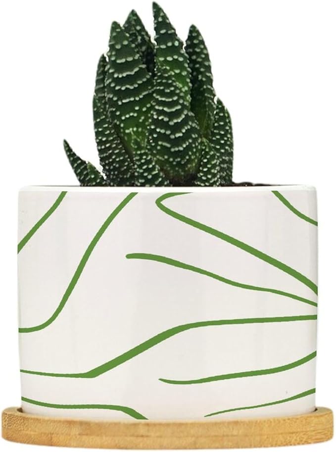 African Zebra Stripe Print Planter Ceramic Boho Geometric Green and Light Gray Round Plant Pots with Drainage Holes and Bamboo Tray Pot for Succulents Cactus Garden Windowsill