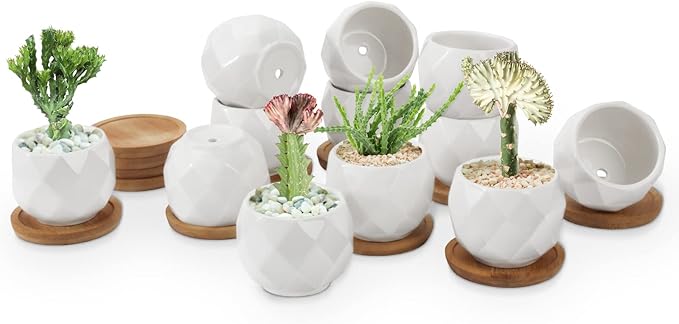 ZOUTOG Succulent Plant Pot 12 Pack, 2.5 inch Square Pattern Ceramic Planters with Bamboo Tray, Small Succulent Pots Indoor, White Office Desk Decor (Seeds＆ Plants Not Included)