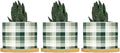 Sage Green Buffalo Plaid Ceramic Planter Green Buffalo Check Snake Plant Live Indoor with Pot with Drainage Holes and Saucers Pot for Indoor Outdoor Garden