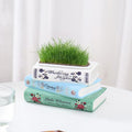 Book Vase for Flowers - 7" Ceramic Literary Planter, Modern Artistic Bookshelf Decor with Cultural Style - Unique Gift for Book Lovers