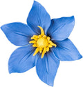 CEUYGT 3D Flower Wall Decor Handmade Ceramic Wall Art Hanging Sculpture Clematis 3.54" (Medium)