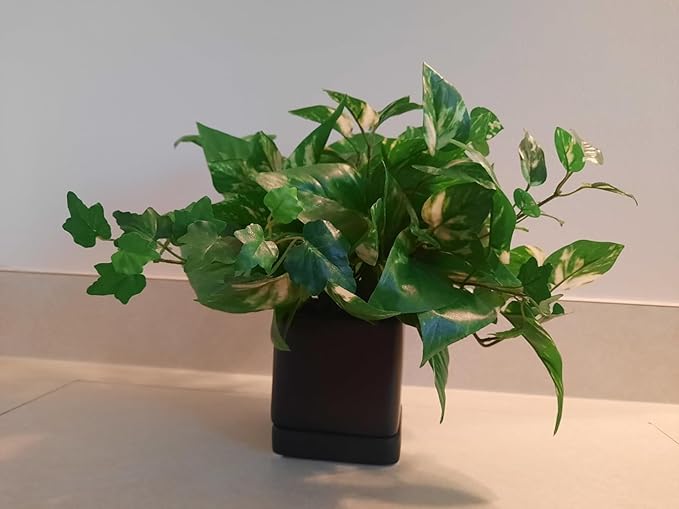 Lucky Winner Solid Cube Ceramic Planter Pot with Drain Hole- Unique Minimal Square Plant Pot for Indoor Outdoor Home Garden Decor (Black, 4")