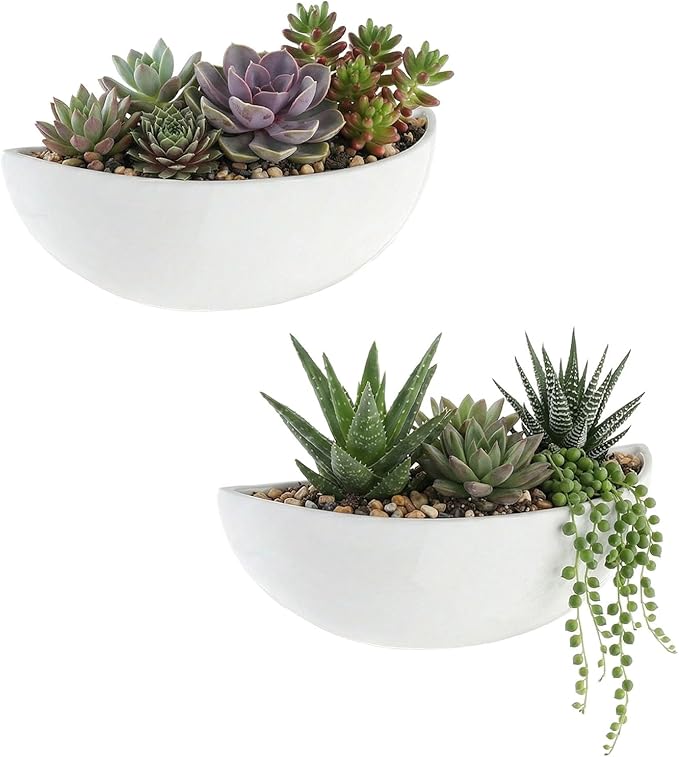 MyGift White Ceramic Wall Planters for Indoor Plants, Half Bowl Hanging Vase, Wall Mounted Succulent Planters, Set of 2