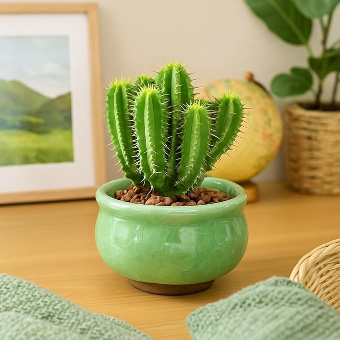 Okllen Set of 6 Small Succulent Pots, Ceramic Succulent Planters Stylish Crackle Glaze Design with Drainage Holes for Indoor/Outdoor Small Plants, Plants Not Included