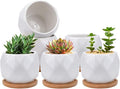 Jucoan 6 Pack Ceramic Succulent Planter Pot with Bamboo Tray, 4 Inch Small White Diamond Shaped Cactus Herb Flowers Planter with Drainage Hole for Indoor Home Office Decor