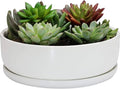 SQOWL 8 inch White Round Ceramic Succulent Planter Pot Modern Flower Cactus herb Big Planter with Removable Saucer Indoor or Outdoor