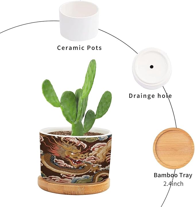 Chiang Dragon Planter Ceramic Chinoiserie Asian Round Flower Pot with Drainage Holes and Bamboo Tray Pot for Home Desktop Office Windowsill