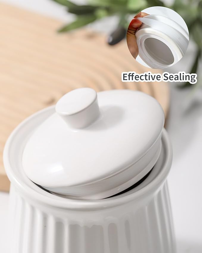 HASENSE Kitchen Storage Containers, 35 oz Kitchen Canister with Airtight Lids, Cookie Candy Jar for Coffee Beans, Tea-leave, Sugar, Salt, Flour, Spice, Coffee Container, Housewarming Gift, White