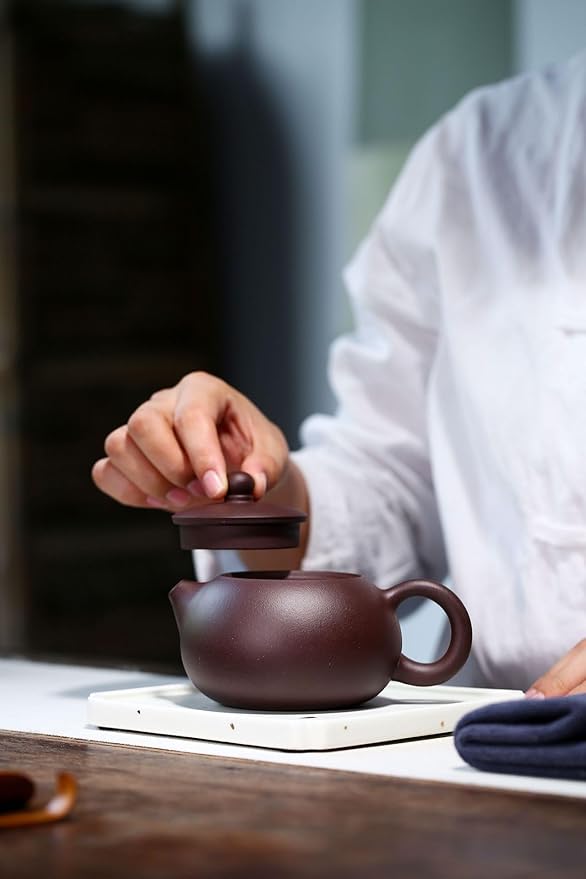 Xishi Teapot 9oz Chinese Yixing Zisha Clay Pot Snap-lid Ceramics Purple Sand Mud Kungfu Tea Set Kettle 14 Hole Filter (purple 270ml)