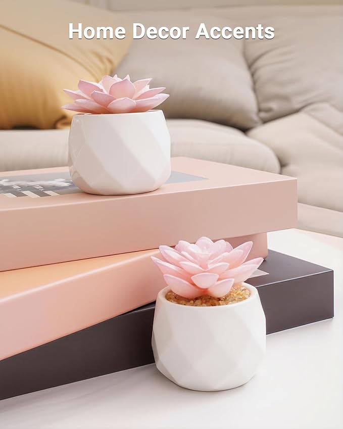 VIVERIE Mini Succulents Plants Artificial in Pots-Rose Pink, Christmas Small Fake Succulents Plants for Home Decor Indoor for Women, White Ceramic Faux Succulents, Set of 2, Gifts for Mom