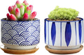 GeLive 3 Inch Ceramic Succulent Planter, Cactus Plant Pot, Flower Container with Bamboo Drip Tray, Indoor Outdoor, Set of 2 (Wave and Blue Flower)