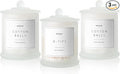 3 Pack Qtip Holder Dispenser, 16oz Bathroom Organizer and Storage Canisters, Glass Apothecary Jars with Lid - Home Decor, Room Decor Aesthetic (Frosted White)