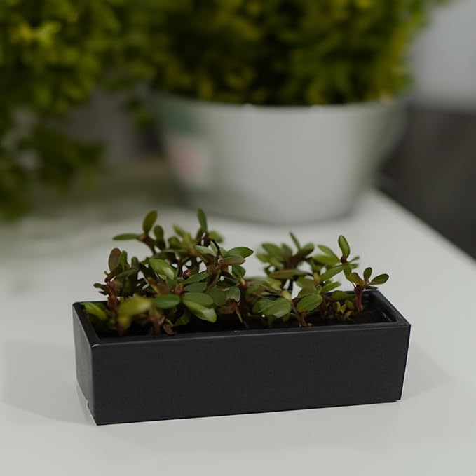 WGVI Long Rectangle Ceramic Planter Vase in Black 14" x 4" x 4"H, Rectangular Box Block Terrarium Pot, Flower Arrangement, Tabletop Centerpiece, Home Decor Organization Storage Container, 1 Pc.