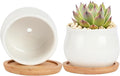 2 Pack Succulent Pots, 2.5 Inch Mini Ceramic Pots for Flower or Cactus Plants with Drainage Hole,Plants Not Included (White)