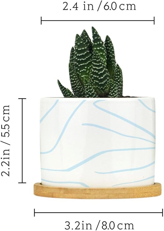 African Zebra Stripe Print Planter Ceramic Boho Geometric Light Blue and White Round Flower Pots with Drainage Holes and Bamboo Tray Pot for Home Office Decoration