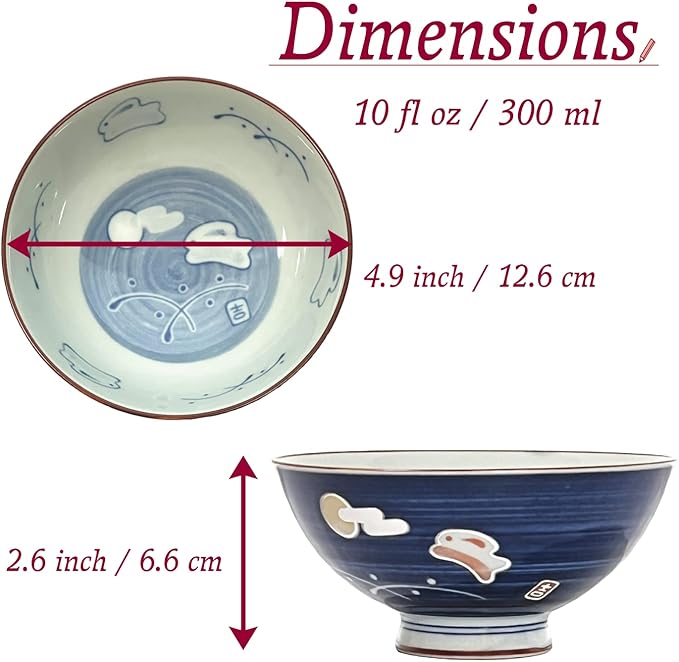 Traditional Style Japanese Ceramics Rice Bowl Chawan Pottery, Dishwasher Microwave Safe Made in Japan (Totoya Usagi, Medium (oohira))