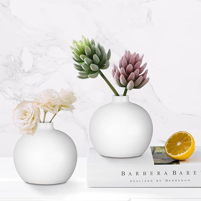 Ceramic Vase Small White Vase- Flower Vases for Home Decor, Dry Flower Vases for Modern Farmhouse, Living Room Decoration, Table Décor, Bookshelf, Mantle, Entryway (White)