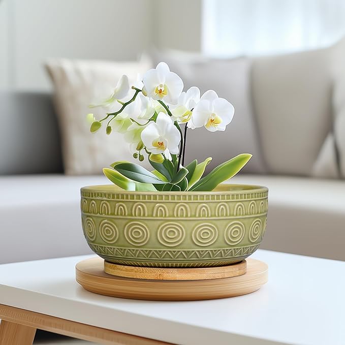 Bonsai Pots - 8 Inch Ceramic Succulent Pots with Drainage Hole and Saucer, Shallow Round Planter for Indoor Plants, Boho Bowl Planter, Room Decor, Green