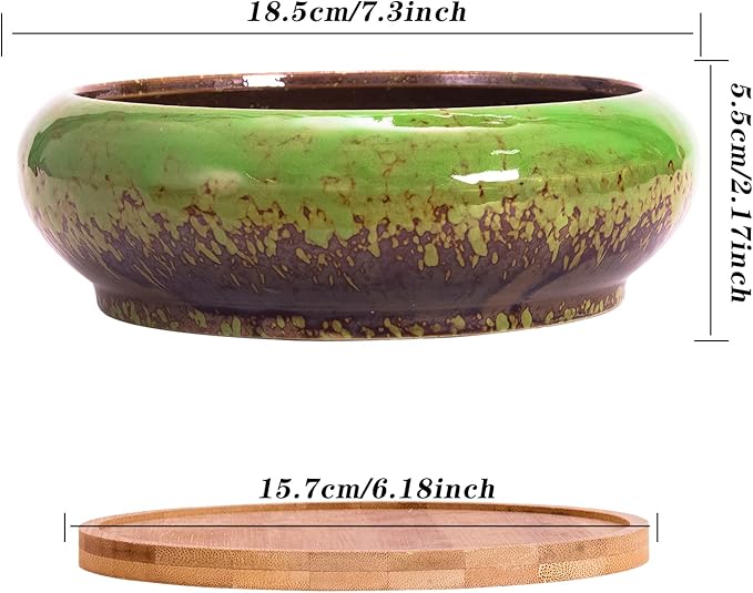 Succulent Pots with Drainage, 2 Pack Large Succulent Planters Ceramic Bonsai Pot with Trays, 7.3 Inch Round Shallow Planters for Indoor Cactus Flower Plants