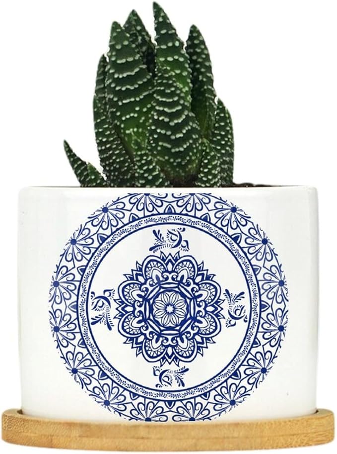 Planters Ceramic Chinese Style Blue And White Porcelain Print Ceramic Pots with Drainage Holes Round Flowerpot Bamboo Tray Plant Pots for Succuelnt And Little Snake Plants Pots for Nana Grandma