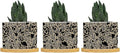 Leopard Black and Light Brown Dot Ceramic Planters African Tribal Animal Print Planters for Indoor Plants with Drainage Holes and Saucers Pot for Outdoor Garden Home Plant