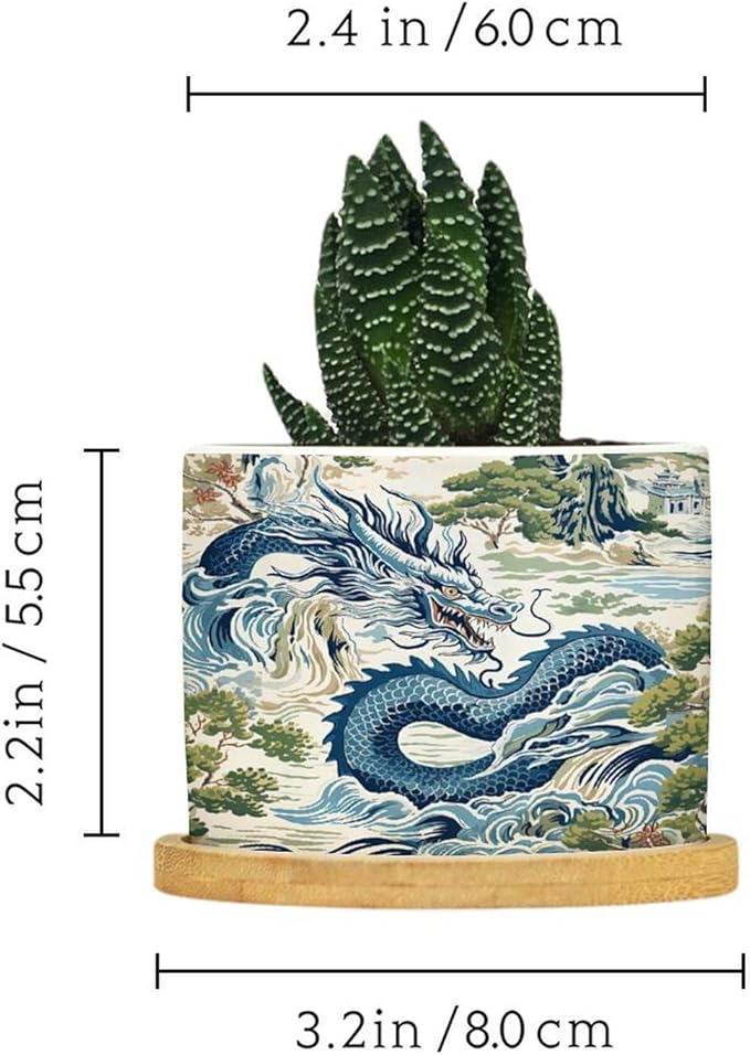 Trend Dragon Chinoiserie Asian Inspired Ceramic Planters With Saucers for Orchids, Succulents, Plants - Home Office Desk Garden Balcony New Home Decor