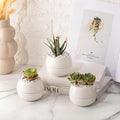 Willowy 3.5 Inch Small Succulent Pots - 3pk, Mini/Small White Ceramic Succulent Pots - No Plants Included