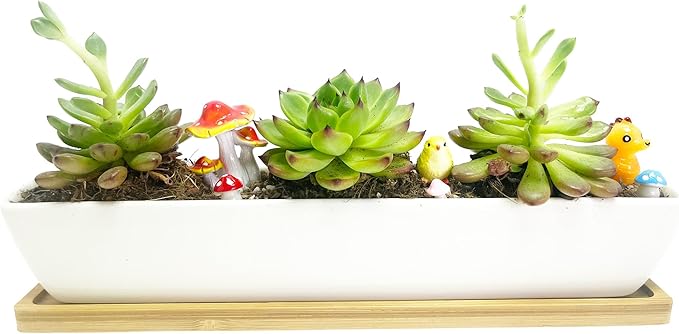 11inch Long Rectangle White Ceramic Succulent Planter Pots/Mini Flower Plant Containers with Bamboo Saucers. Product Size:11x2.23x1.69inch,not Include The Plant. (Long Rectangle)