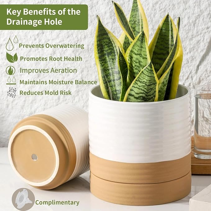 HASENSE Ceramic Plant Pots, 6 Inch Planters for Indoor Plants with Drainage Holes and Saucers, White Flower Pots for Succulent, Snake Plants, Cactus, Modern Decor Gift for Mom, 1 Pcs