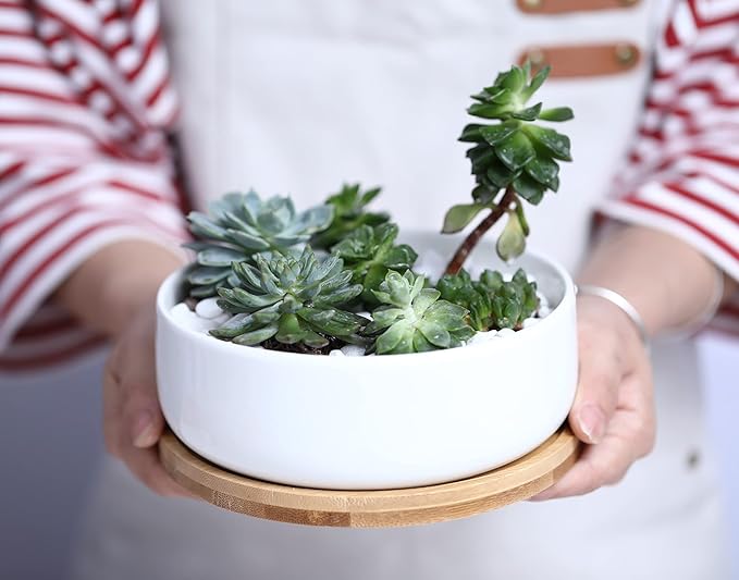 LANKER 6.3 Inch Round White Ceramic Succulent Planter Pot Decorative Cactus Plant Pot Flower Container with Bamboo Tray (Round 6.3Inch)