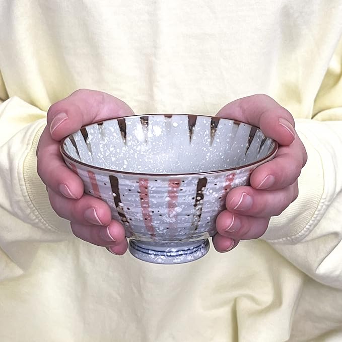 Traditional Style Japanese Ceramics Rice Bowl Chawan Pottery, Dishwasher Microwave Safe Made in Japan (Sabitokusa, Small (nakahira))