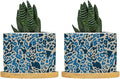 Leopard Blue and Light Brown Dot Planter Ceramic African Tribal Animal Print Round Flower Pots with Drainage Holes and Bamboo Tray Pot for Home Desktop Office Windowsill