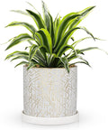 Ceramic Plant Pots with Drainage Hole & Saucer, Gold & White Ceramic Planter Pot for Indoor & Outdoor, 5.5" Small Plant Pots Decorative Flower Pot for Succulents, Herbs, Cactus, Orchids Planter