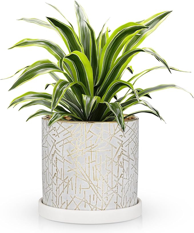 Ceramic Plant Pots with Drainage Hole & Saucer, Gold & White Ceramic Planter Pot for Indoor & Outdoor, 5.5" Small Plant Pots Decorative Flower Pot for Succulents, Herbs, Cactus, Orchids Planter
