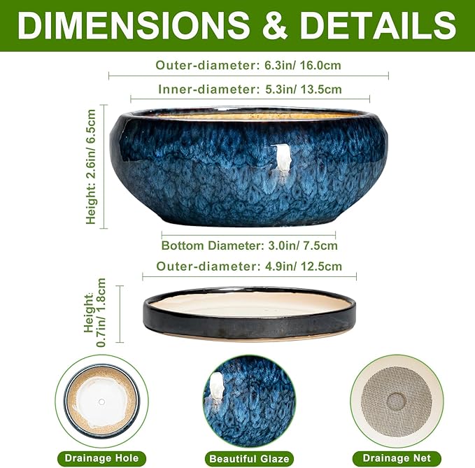 Succulent Pots - 6 Inch Ceramic Bonsai Pots with Drainage Hole and Saucer, Shallow Planter for Indoor Outdoor, Round Succulent Planter, Cactus Pot, Office Decor, Gifts for Plant Lovers, Blue