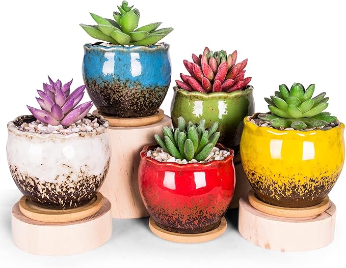 ARTKETTY Succulent Pots - 4 Inch Ceramic Succulent Planters with Drainage Tray Set of 6, Small Cactus Pots for Indoor Plants Colorful Flower Plant Pots for Desk Windowsill