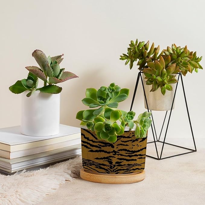 DreamAutumn Tiger Stripes Ceramic Flower Pots,Gardening Plant Pot with Drainage Holes and Saucers Round Ceramic Pots for Indoor Plants Succulent Herbs Cactus Pots for Dad Papa Grandpa
