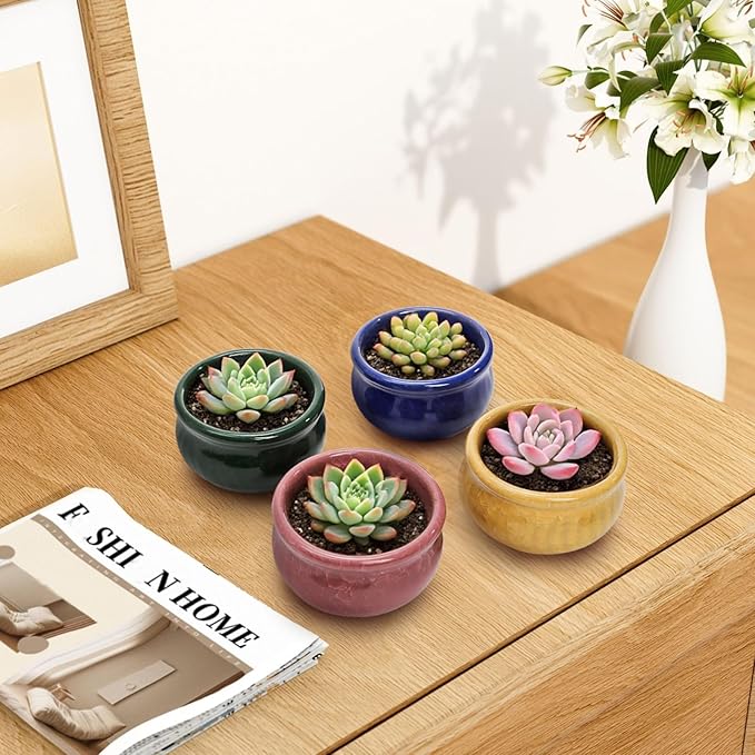 Okllen Set of 6 Small Succulent Pots, Ceramic Succulent Planters Stylish Crackle Glaze Design with Drainage Holes for Indoor/Outdoor Small Plants, Plants Not Included